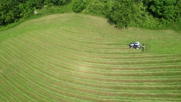 말리기 건조기를 사용하여 목초지에 트랙터 효율적 초준비를 아름다운 지역에서의 — 비디오