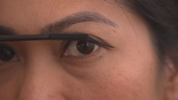 Portrait Close Wanita Cantik Menerapkan Maskara Hitam Untuk Bulu Matanya — Stok Video