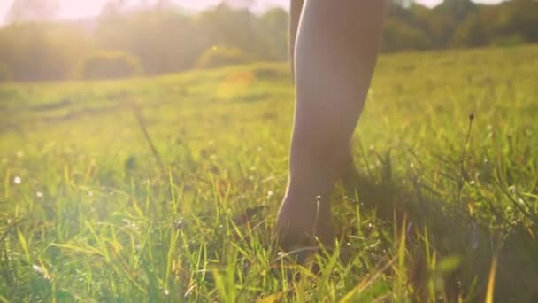 Zamknij Się Low Angle Widok Tył Kobiety Kroczącej Boso Trawie — Wideo stockowe