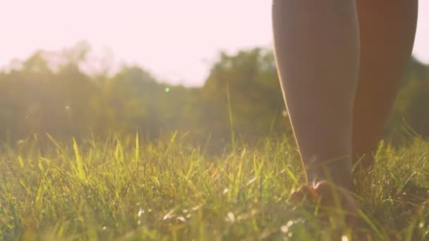 低角度 日落时 女人赤脚在草丛中走向相机 女性赤脚在金光闪闪的草地上行走 日出时阳光照射在草坪上的脚步声 — 图库视频影像