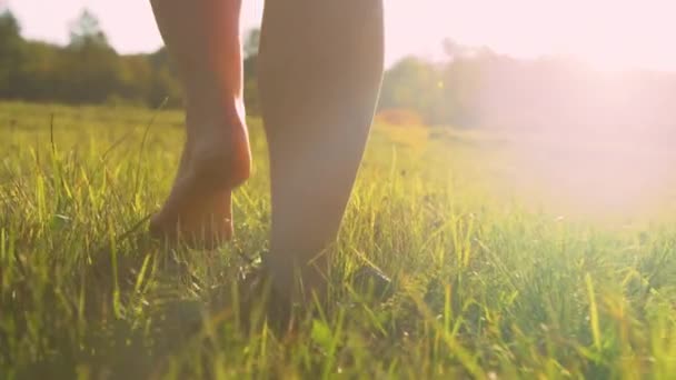 Fecha Anjinho Baixo Seguindo Pés Descalços Uma Mulher Andando Grama — Vídeo de Stock