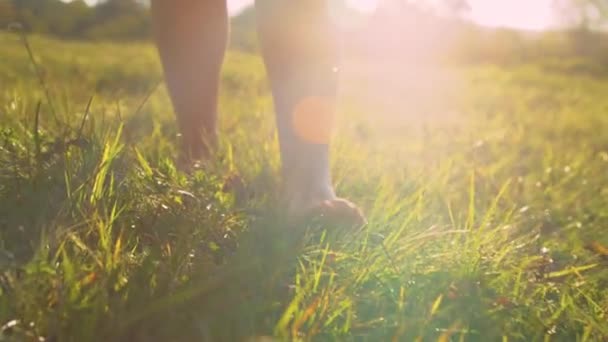 低角度 年轻女性赤脚在艳阳高照下在草地上行走 阳光下光着脚的女人轻柔地踩在绿色的草地上 在金色的日出时走向镜头 — 图库视频影像
