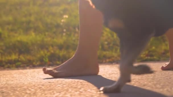 Close Low Angle Босонога Жінка Йде Асфальтовим Шляхом Собакою Заході — стокове відео