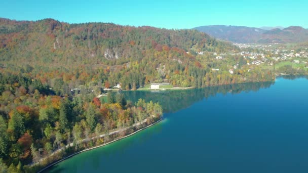 Aerial Autumn Drone Flight Grandstand Bled Rowing Centre Velika Zaka — Vídeo de Stock