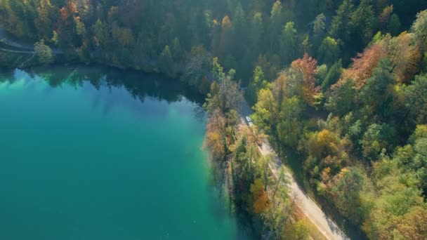 Aerial カラフルな秋の季節に美しい湖の周りを走る観光列車 観光列車は秋の木々に囲まれた道路を巻きながら 澄んだ湖の水に反映日 — ストック動画