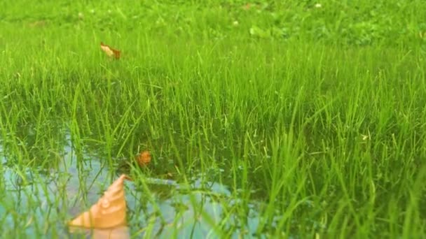 Застой Избыточной Воды Зеленой Траве Результате Сильного Осеннего Дождя Подробный — стоковое видео