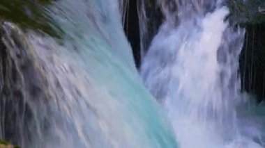 Yosun tutmuş kayaların üzerinden akan vahşi dağ nehri küçük şelaleler oluşturuyor. Sonbahar kayın ağacı yapraklarını taşırken taşmış taşlarla çağlayan suyun ayrıntılı görüntüsü.