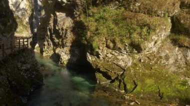 Vintgar Vadisi 'nde turist yolu ve nehri olan resim gibi bir seyahat yeri. Sonbahar yaprakları nehrin oyduğu derin kanyona düşer. Dik kayalık yamaçlar arasında güzel bir manzara..