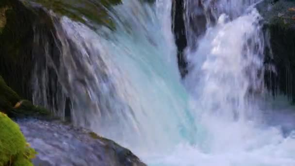 Sluiten Wilde Rivier Stroomt Watervallen Met Kleurrijke Levendige Herfstbladeren Gedetailleerd — Stockvideo