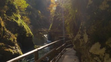 Radovna nehri ve ahşap yolu ile güzel Vintgar kanyonu manzaralı kayın ağaçlarının muhteşem renk paleti ve vahşi nehrin üzerindeki yeşillikler ve kayalık bir bankaya gömülü güzel bir turistik patika..