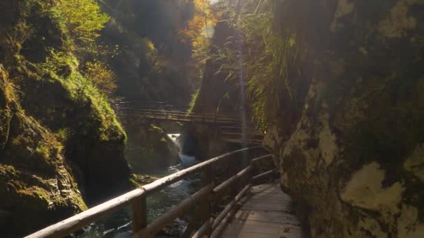 Vue Panoramique Magnifique Canyon Vintgar Avec Rivière Radovna Sentier Bois — Video