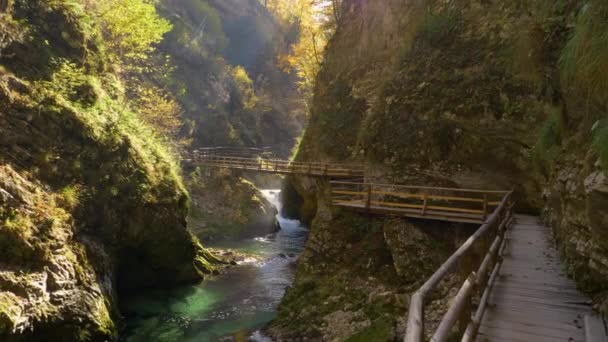 Vue Imprenable Sur Pittoresque Canyon Vintgar Avec Rivière Sentier Bois — Video