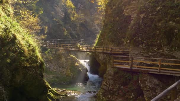 Superbe Vue Panoramique Gorge Vintgar Avec Rivière Sentier Bois Automne — Video