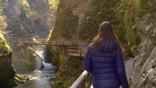 Jovem Turista Caminhando Longo Trilha Madeira Através Deslumbrante Desfiladeiro Vintgar — Vídeo de Stock