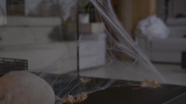为万圣节气氛装点神秘而有创意的家 蜘蛛网 红色蜡烛 骷髅和秋天的树叶营造出令人恐怖和恐怖的气氛 家庭内部准备好迎接秋季假期 — 图库视频影像
