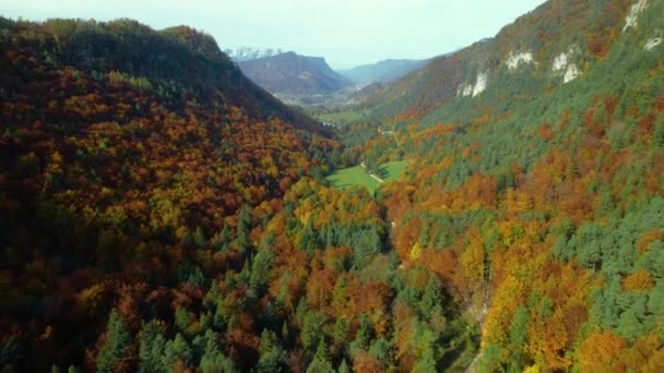 Aerial Oszałamiający Widok Dolinę Złapany Między Górami Żywych Kolorach Jesieni — Wideo stockowe