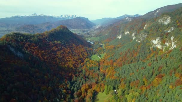 Aerial Niesamowity Widok Alpejski Krajobraz Pięknych Kolorach Jesieni Malownicza Dolina — Wideo stockowe