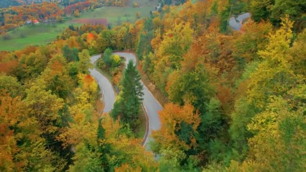 Aerial Kręta Droga Asfaltowa Objęciach Pięknego Lasu Sezonie Jesiennym Wspaniały — Wideo stockowe