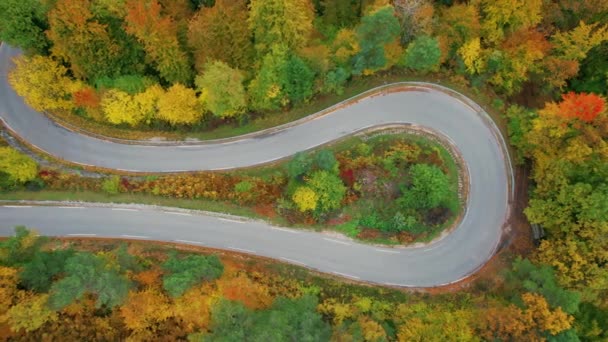 Aerial Top Scharfe Kurve Serpentinenstraße Zwischen Den Herbstfarbenen Bäumen Kurvenreiche — Stockvideo