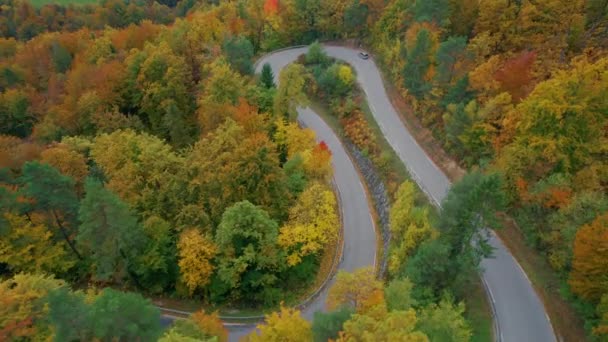 豪華な秋の森に囲まれたアスファルトの道路上の車の運転 秋のシーズンにカラフルな森の真ん中に蛇紋岩の道路でシャープターン 田舎に広がる秋 — ストック動画