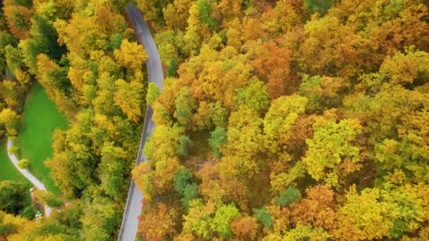 トップダウン 舗装された道路や小さな牧草地カラフルな秋の森の中に埋め込まれた 緑豊かな緑豊かな木々の上を秋の鮮やかな黄金色で飛んでいます 秋の鮮やかな色合いの美しい森林地帯 — ストック動画