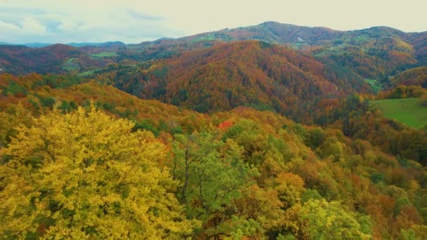 Aerial Wspaniała Paleta Kolorów Drzew Zalesionej Wsi Jesienią Oszałamiający Widok — Wideo stockowe