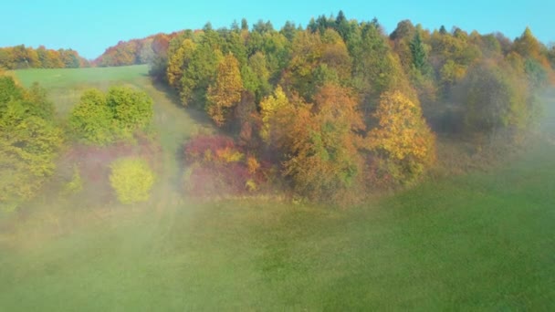 Aerial Prachtige Vlucht Van Mistige Weide Naar Heuvelachtig Bos Herfstkleuren — Stockvideo