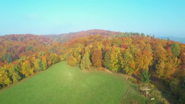 秋の朝にカラフルな森の風景の上に穏やかな霧のひづめ 秋の季節の多数の色合いで美しい丘陵地帯 丘陵地に広がる紅葉 — ストック動画