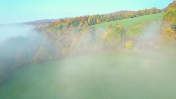 秋の朝の霞から明らかに豪華な色の丘の風景 秋の季節には霧の朝に鮮やかな色の緑の牧草地や森の木々と田舎の美しい景色 — ストック動画