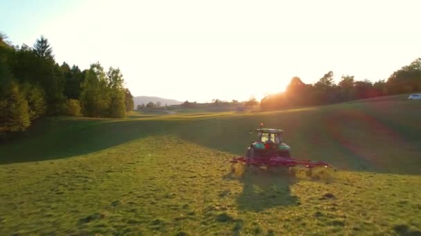 Aerial Gyönyörű Őszi Reggeli Fény Hátsó Kilátás Traktor Fordult Kaszált — Stock videók