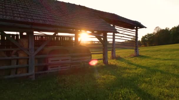 Low Angle Autumn Sun Shining Traditional Hayrack Stored Hay Bales — Stock Video