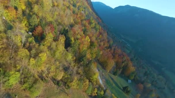 Aerial Snabb Drönarflygning Ovanför Färgglada Höstskogar Brant Bergssluttning Vackert Alpint — Stockvideo