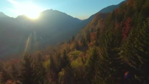 Aerial Fjällskog Hösten Nyanser Med Sol Kikar Över Toppen Berget — Stockvideo