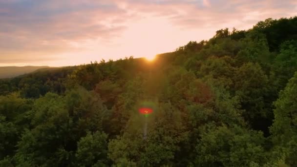 Aerial Sista Strålarna Höstsolen Vidrör Kuperat Landskap Täckt Med Frodig — Stockvideo