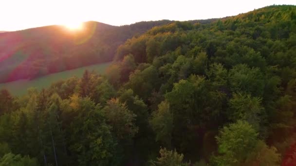 Aerial Vackert Kuperat Skogslandskap Som Badar Höstsolens Sista Strålar Pittoreska — Stockvideo