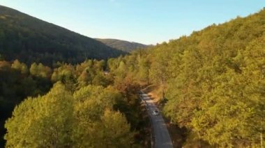 Sonbahar renklerinde, ormanın içinden geçen asfalt yol boyunca giden araba. Dağlık orman manzarasının kucakladığı güzel kırsal yol sonbahar mevsiminde güzel bir gezinti sunuyor..