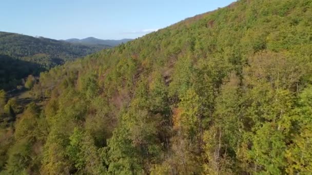 Sonbaharın Başlarında Verimli Orman Ağaçlarıyla Kaplı Tepenin Üzerinde Uçan Aerial — Stok video