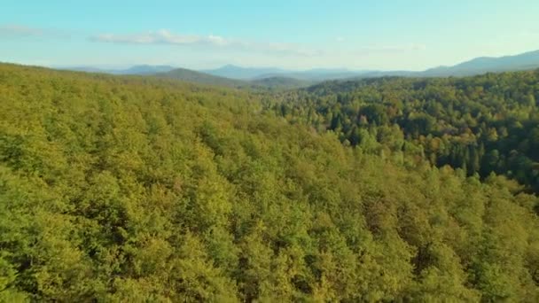 Aerial Wspaniały Widok Pagórkowatego Krajobrazu Pokrytego Lasem Jesiennych Kolorach Ogromny — Wideo stockowe