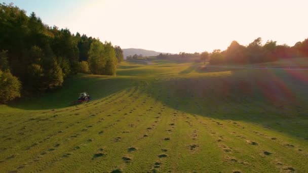 Aerial Сільськогосподарський Трактор Сіном Який Перетворює Косіння Сіна Осіннє Вечірнє — стокове відео