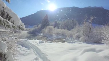 Zelenci Doğa Koruma Alanı 'nda kış masalı taze bir kar örtüsüyle kaplıdır. Yeni yağmış karla turistlerin ilgisini çeken güneşli güzel bir gün. Karlı dağlık arazide harika bir kış anı.