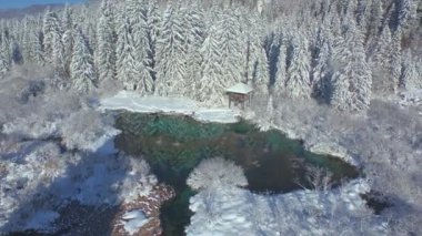 Zelenci Doğa Koruma Alanındaki Sava Nehri 'nin güzel kış manzarası. Turistik merkezde güneşli bir gün yeni yağmış karla kaplandı. Karlı dağlık arazide harika bir kış anı.