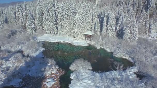 エリアル 自然保護区のサヴァ川のソースの美しい冬の景色 新鮮な秋の雪に覆われた観光名所で晴れた日 雪に覆われた高山の風景の中で素晴らしい冬の瞬間 — ストック動画