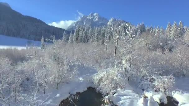 Aerial Magnífica Vista Montañas Nevadas Aguas Cristalinas Zelenci Vuelo Invierno — Vídeos de Stock