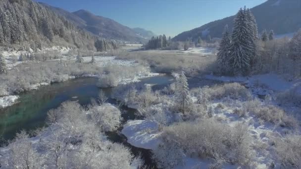 Aerial Malowniczy Zimowy Krajobraz Otaczający Źródło Rzeki Sava Miejscowości Zelenci — Wideo stockowe