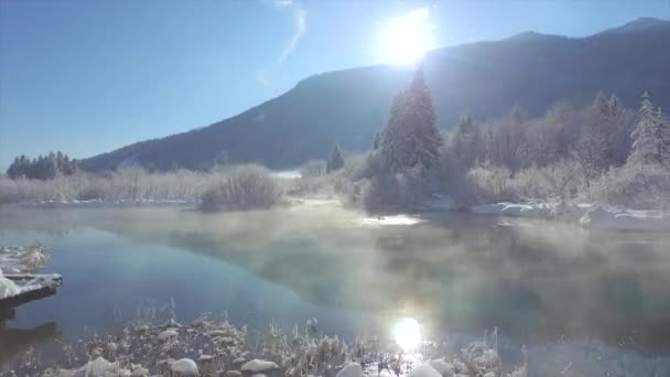Nanılmaz Zelenci Springs Doğa Koruma Alanı Alp Dağları Derin Karlar — Stok video