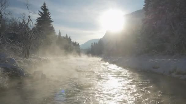 Zimowa Mgła Unosi Się Nad Płynącą Rzeką Savą Chłodny Zimowy — Wideo stockowe