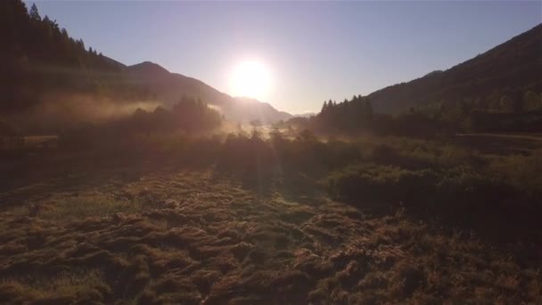 Aerial Sanfter Morgendlicher Herbstdunst Steigt Über Dem Feuchtgebiet Der Zelenci — Stockvideo