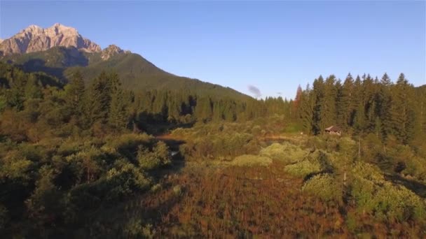 Aerial Increíble Vista Reserva Natural Zelenci Tonos Cálidos Colores Otoñales — Vídeos de Stock