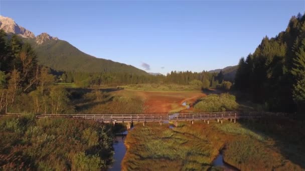 Aerial Maravillosa Vista Otoñal Del Humedal Con Puente Madera Sobre — Vídeos de Stock