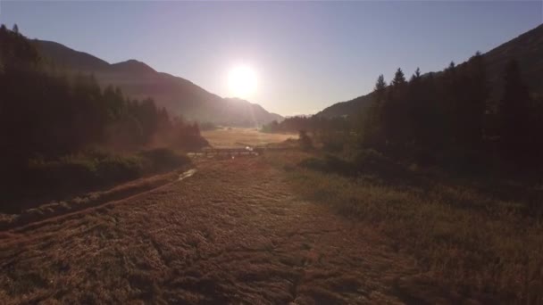 Aerial Złota Jesień Rano Słońce Świecące Nad Pięknym Terenem Podmokłym — Wideo stockowe